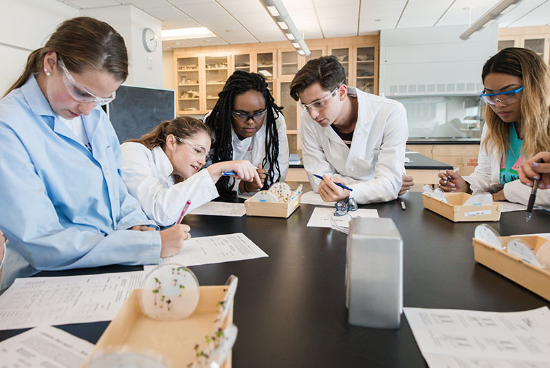 students working in group